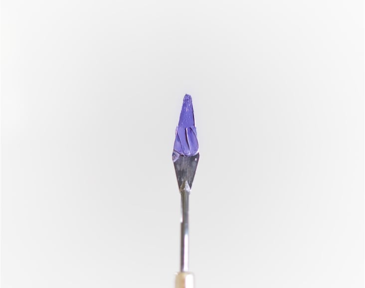 Sed magna dui, dignissim id felis vitae, consectetur Img-1.jpg
