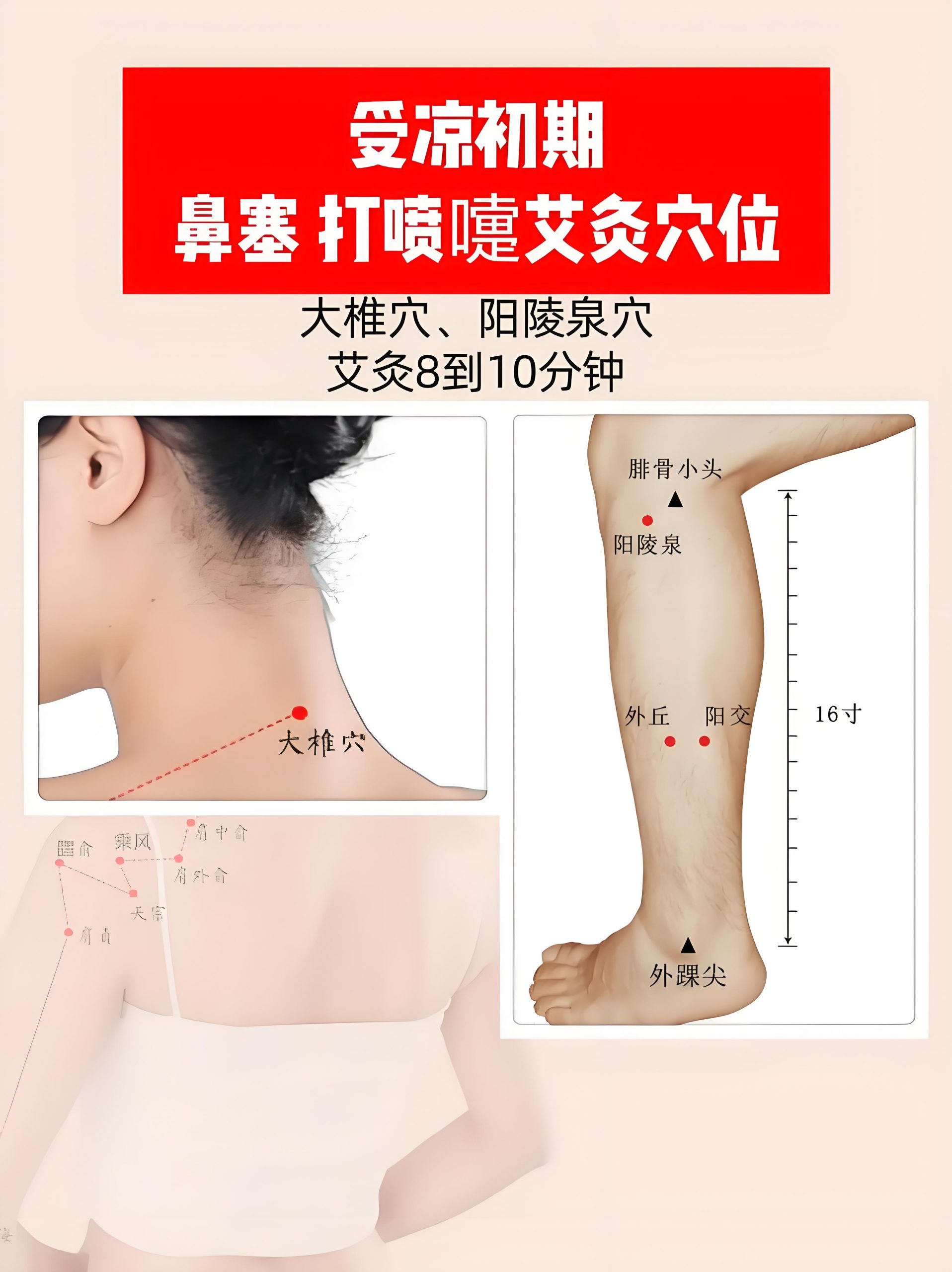 3938dcea-ad54-443e-986f-4e82a9ef1447-scaled.jpg