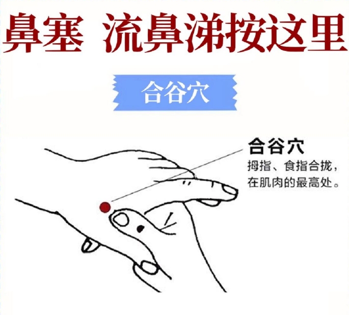 微信截图_20250306140810.jpg