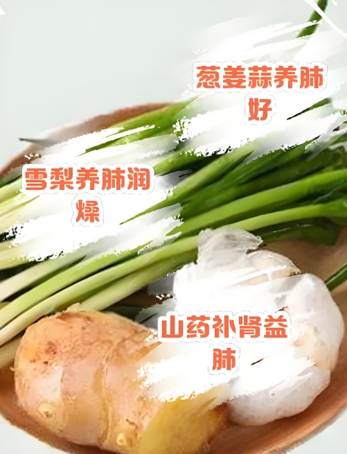 过敏性鼻炎与肺的关联及调理方法 微信截图_20250428151119.jpg